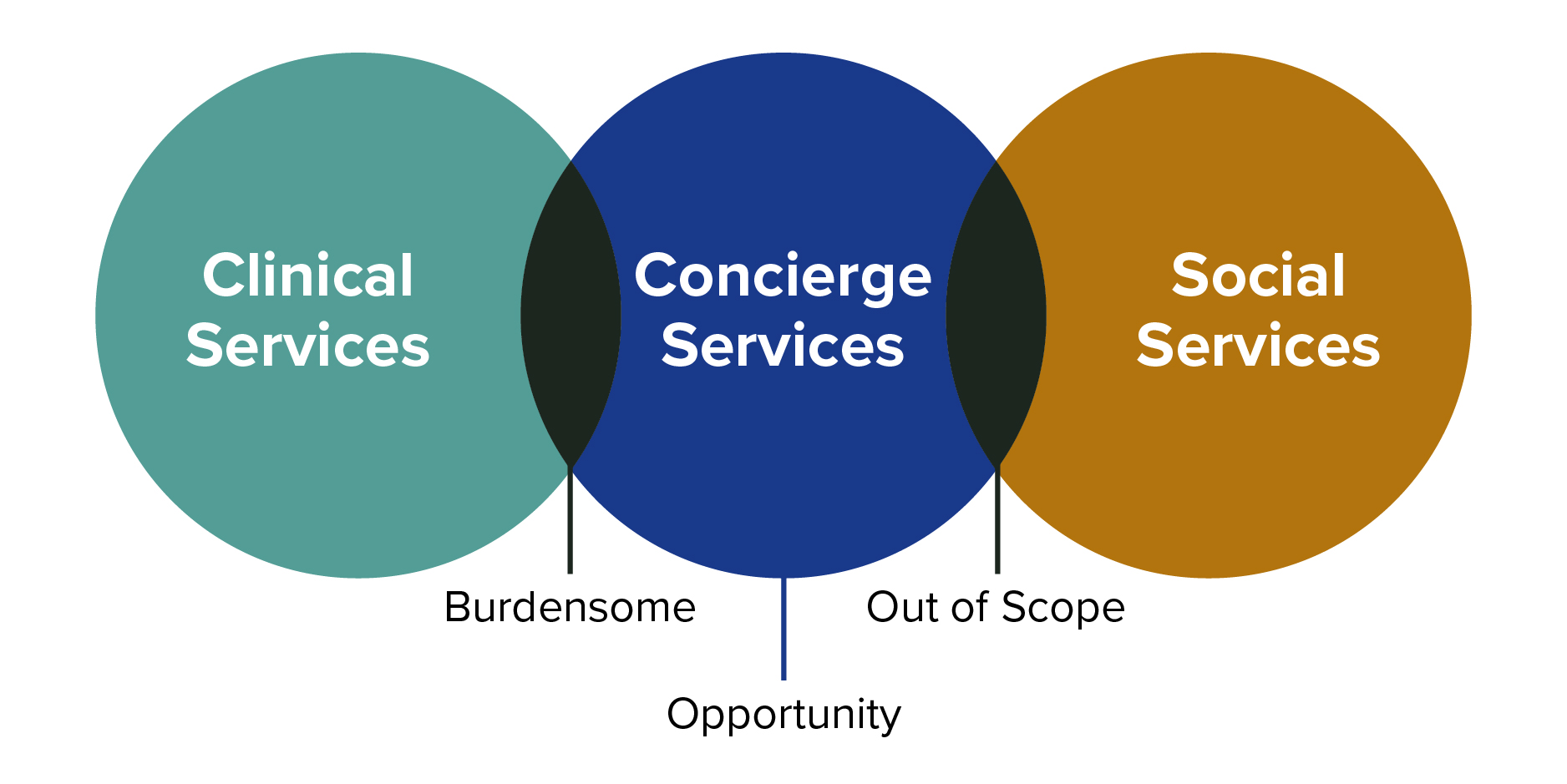 Clinical Services :: Concierge Services :: Social Services Graphic