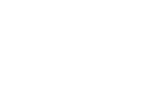 SEP white logo SEP white logo